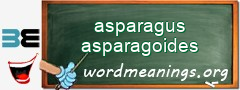 WordMeaning blackboard for asparagus asparagoides